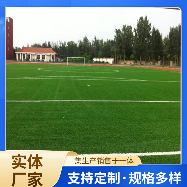 赤峰市EPDM颗粒人造草坪 - 方案